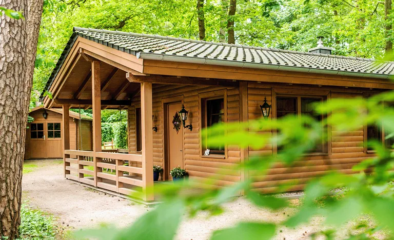 A cozy wooden cabin with a green roof nestled in a lush forest setting, surrounded by trees and greenery.