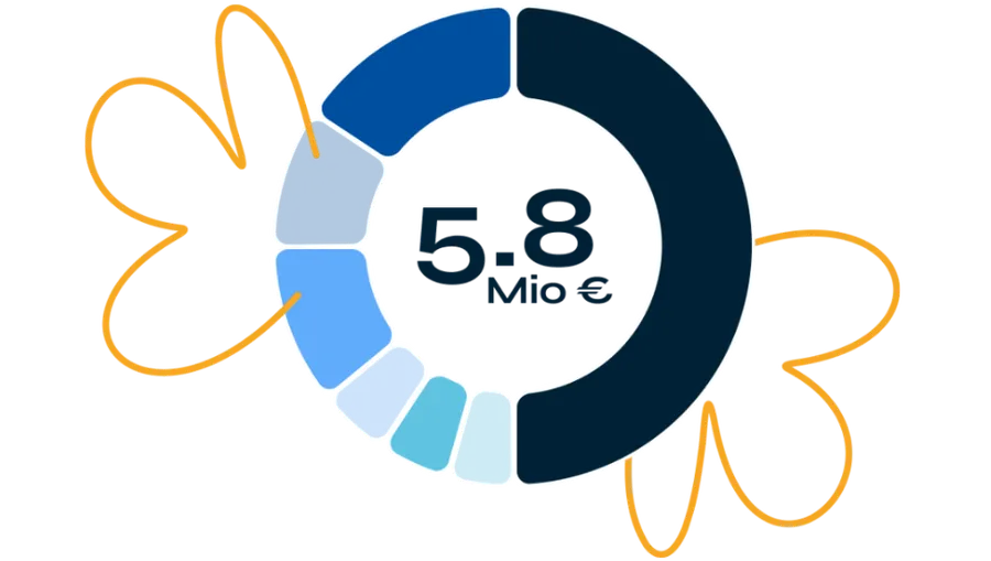Circular chart with various blue segments, totaling 5.8 million euros, surrounded by abstract orange line art.