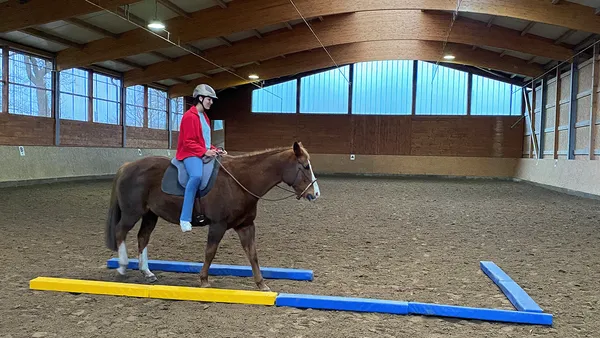 Person auf einem braunen Pferd in einer Reithalle, die über gepolsterte Stangen auf dem Boden springt