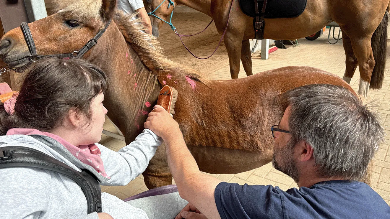 Ein Mann und ein Mädchen bürsten gemeinsam ein Pony in einem Stall. Das Pony hat rosa Flecken auf dem Fell.